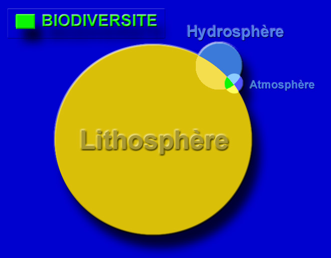 La lithosphère, l'hydrosphère et l'atmosphère apportent les 4 éléments physico-chimiques indispensables aux organismes vivants