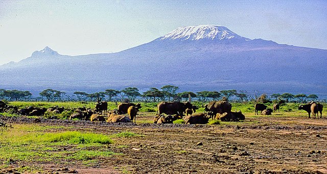 Mont Kilimanjaro en Afrique