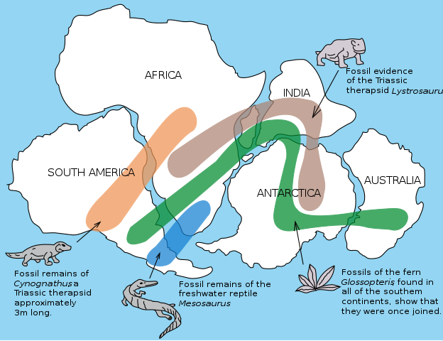 Continent Gondwana