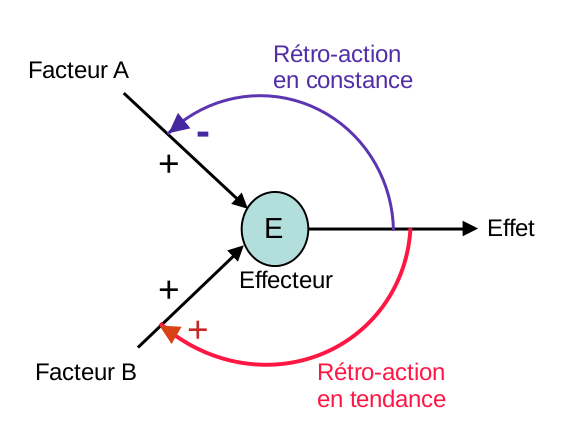 Un régulateur fonctionne en constance (-) ou en tendance (+)