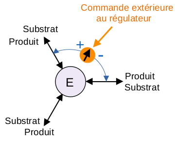 Schéma d'un Servo-mécanisme