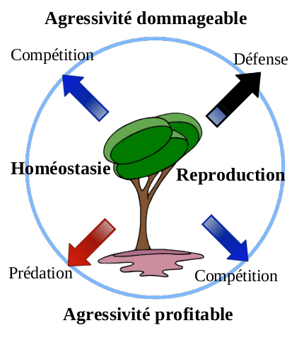 Agressivité dommageable vs agressivité profitable