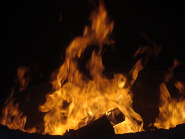 Domestication du feu